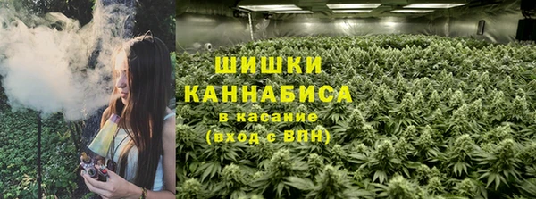 а пвп мука Алзамай