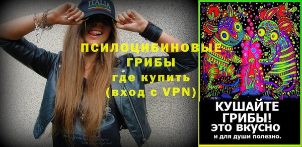 а пвп мука Алзамай