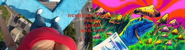 амф Абаза