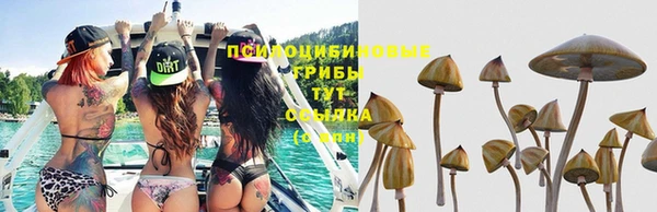 а пвп мука Алзамай